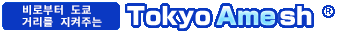 Tokyo Amesh