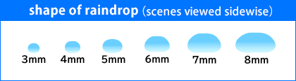 The Shape of Raindrop